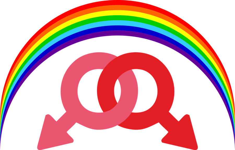 Same-sex marriage was recently made legal in Switzerland this past week. Photo credit: Pixabay