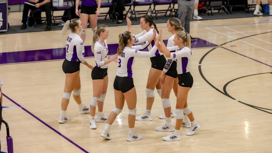 Weber States Volleyball team celebrates a play during the NIVC post-season tournament. Photo credit: Weber State Athletics