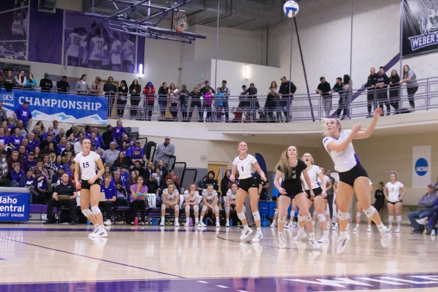 The Weber State University volleyball team watches as the ball is in the air, scoring another point for their team. Photo credit: Kennedy Robins