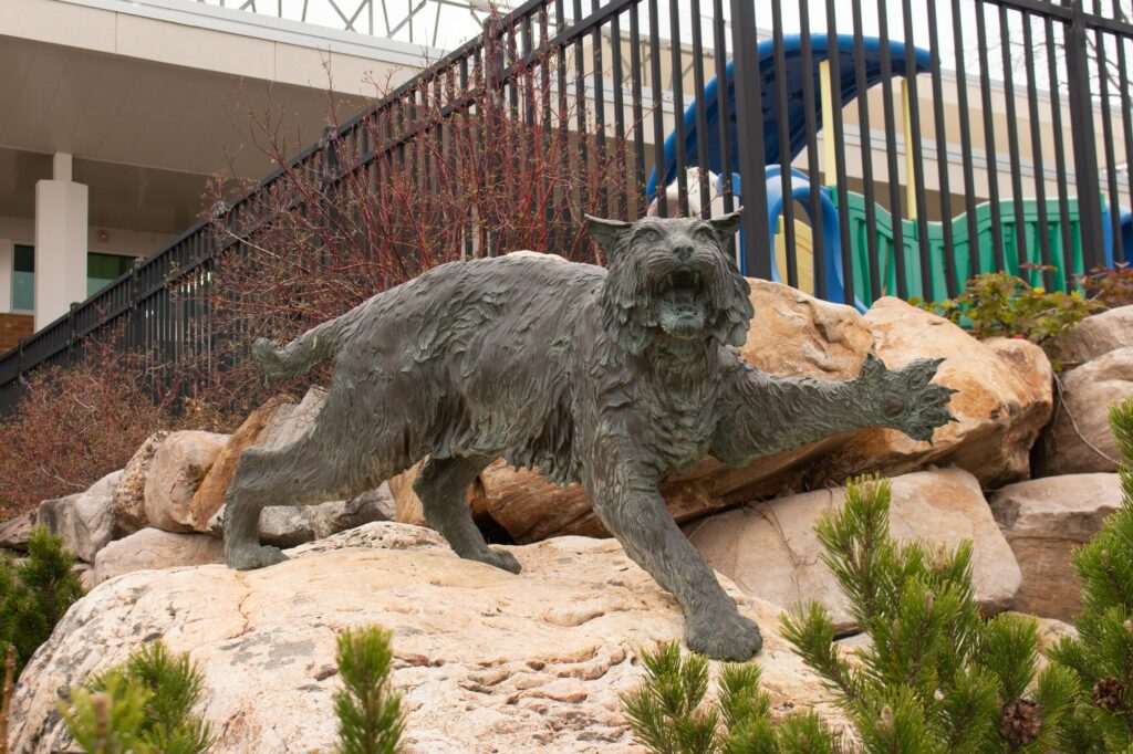Weber State wildcat statue outside of the Shepherd Union building.