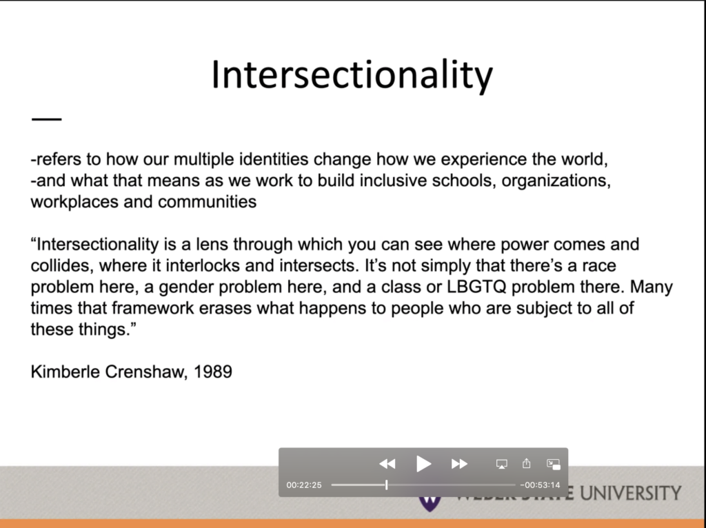 Definition of intersectionality.