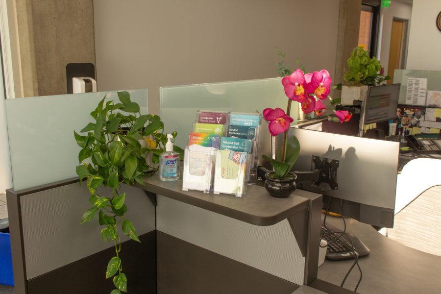 When entering the Counseling and Psychological Service Center, the first thing students will see is the staff desk full of plants and mental health pamphlets. Photo credit: Kennedy Robins