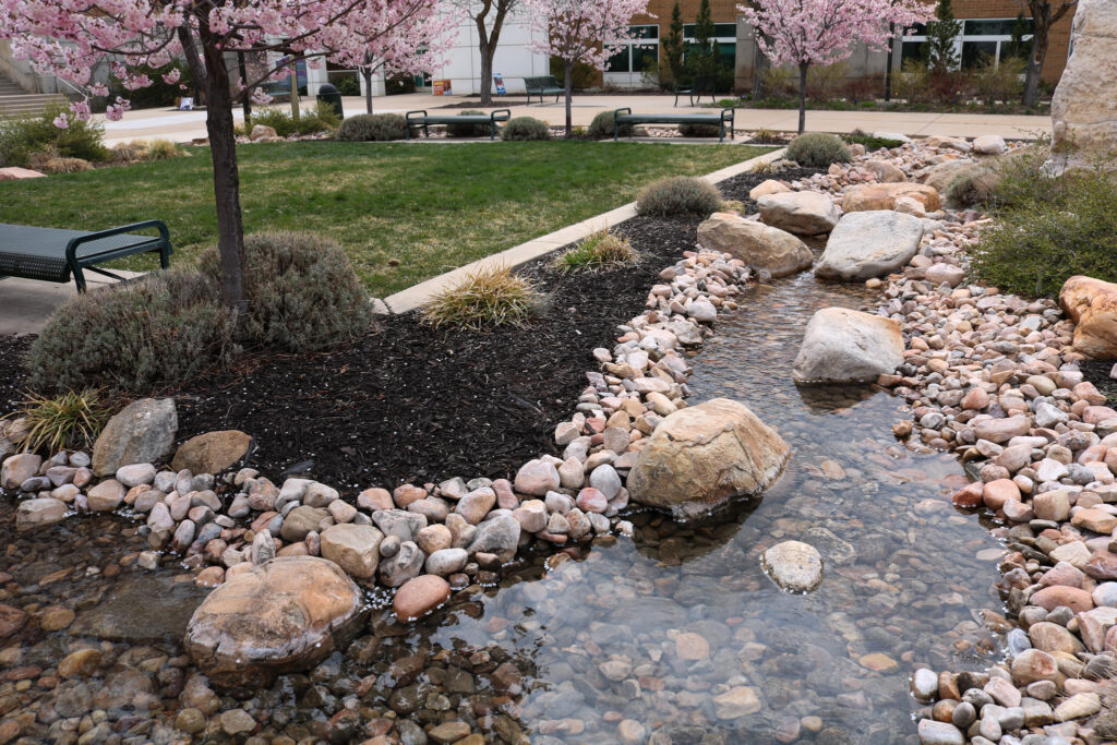 The stream follows all along campus and can be seen flowing most of the time. (Bella Torres / The Signpost)