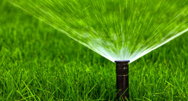 automatic sprinkler system watering the lawn on a background of green grass, close-up