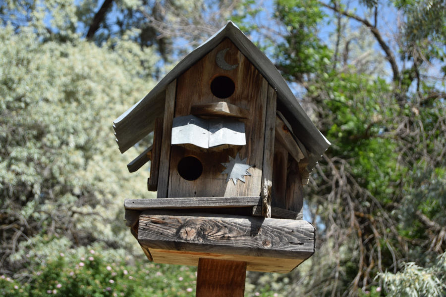 A+birdhouse+located+at+the+Ogden+Nature+Centers+birdhouse+path.