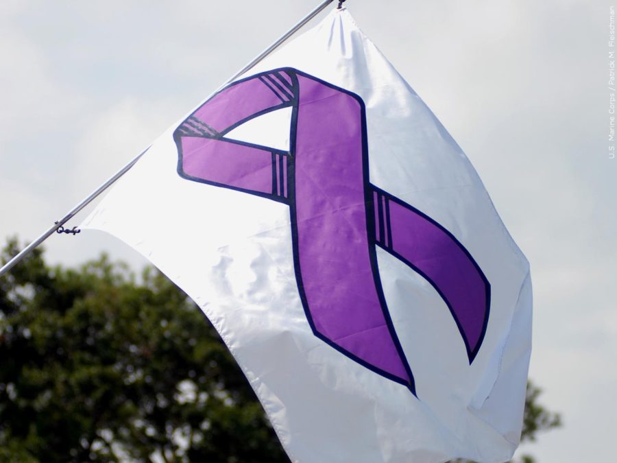 A flag with the domestic violence ribbon on it flying in the wind. (MGN)