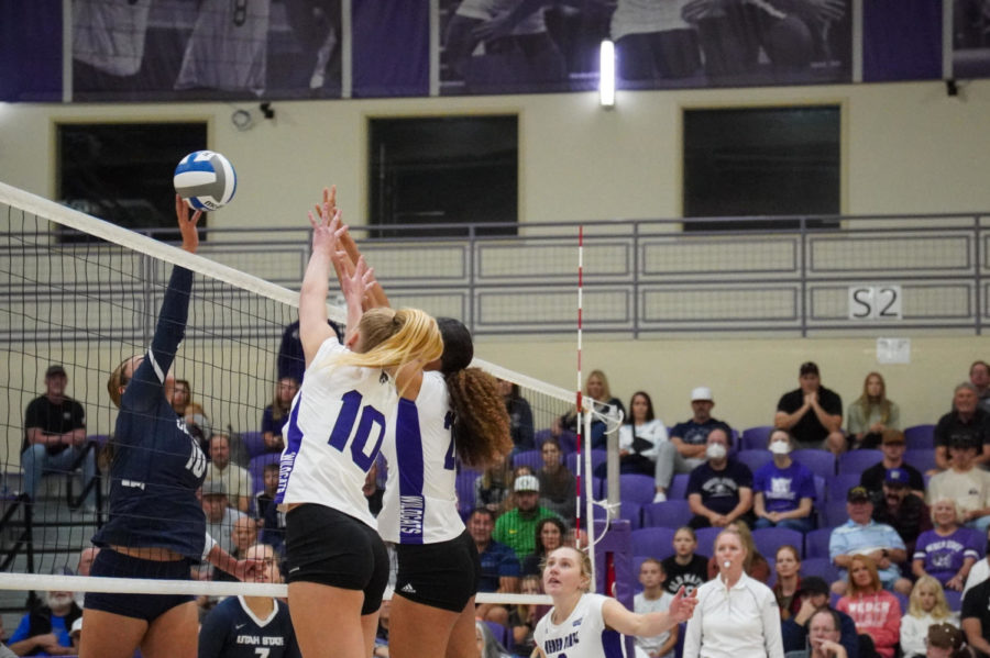Weber State volleyball players mid-block. (Kris Beck/ The Signpost)