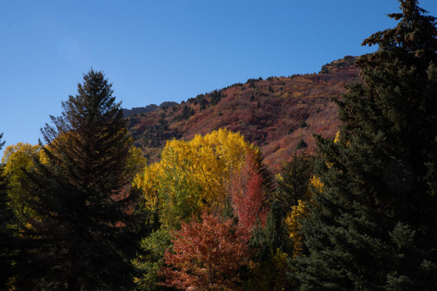 The changing of leaves in the Ogden Canyon often marks the first of fall.