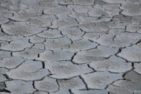 Dried and cracked salt flats formed from the dried up areas of the Great Salt Lake.