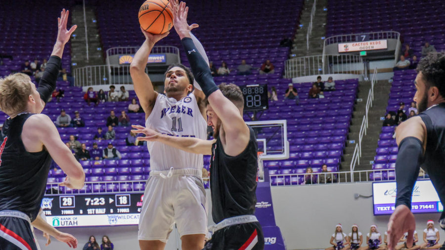 Weber State guard Steven Verplancken shoots over a double team. The Wildcats scored 30 points in the paint against Saint Martins.