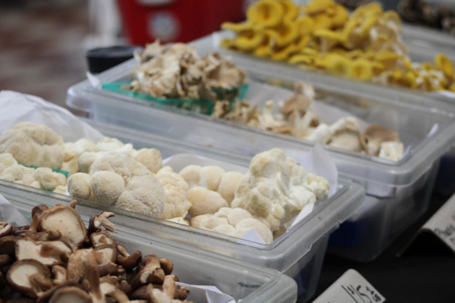Bins of different mushrooms lined vendors tables at the farmers market.