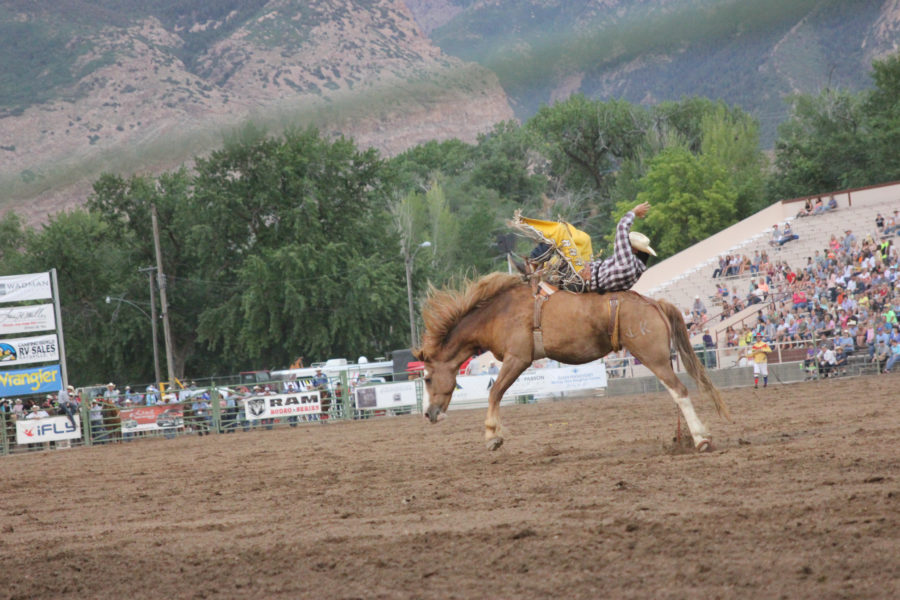 A+competitor+attempting+to+stay+on+their+horses+back+as+it+tries+to+buck+them+off+at+the+Ogden+Rodeo.+Taken+in+July+2014.