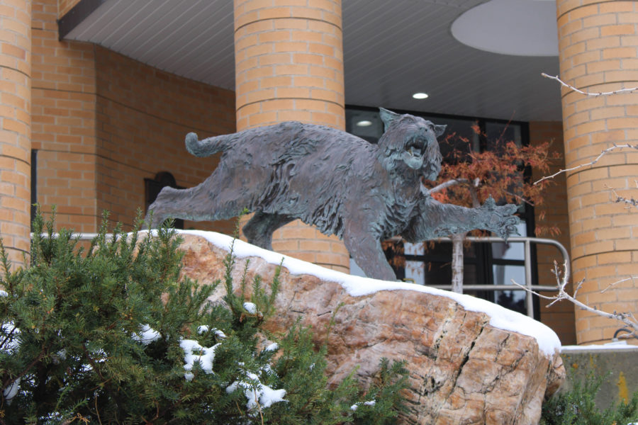 The wildcat statue that stands outside of the Lindquist Alumni Center. Photo taken in 2022.