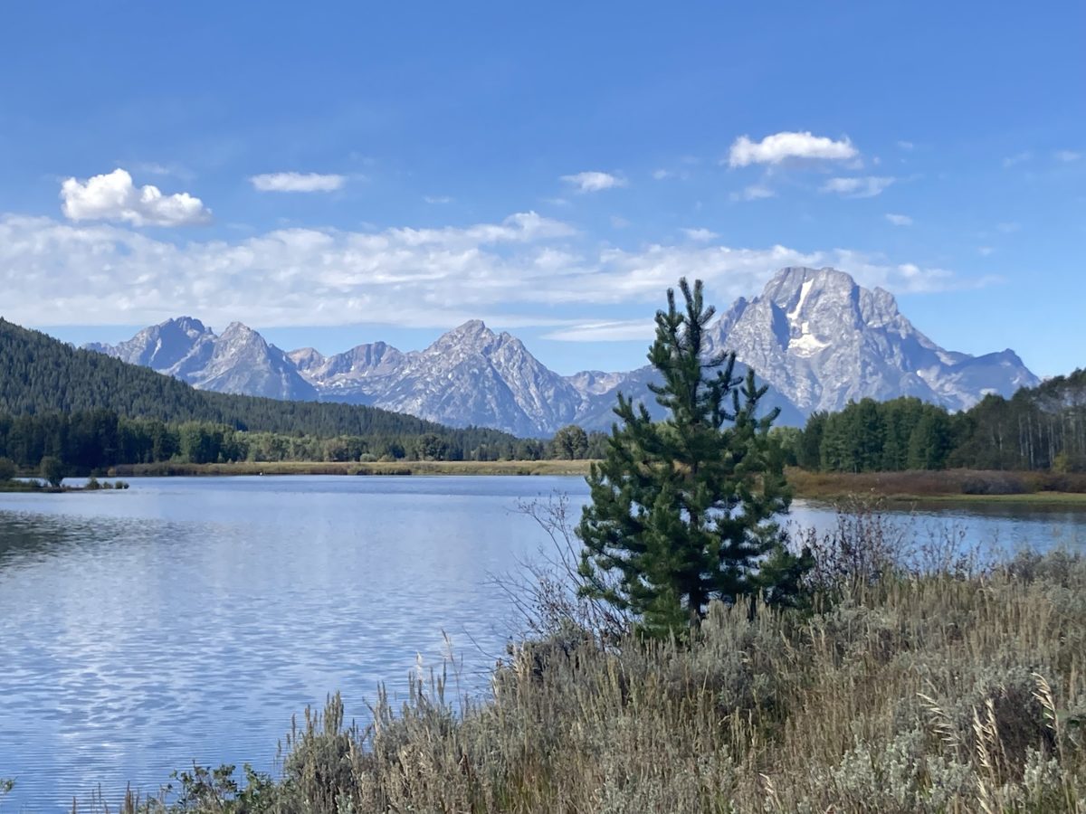 The panoramic view from Oxbow Bend in Grand Teton National Park.