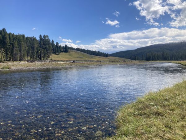 The Yellowstone River running through a picnic area in Yellowstone National Park.