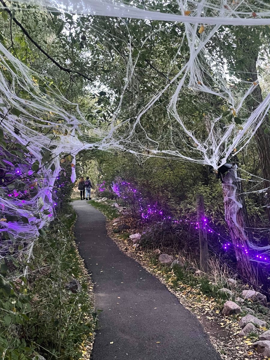 The trails of the Eccles Dinosaur Park decorated with colorful lights and spider webs for the Halloween season.