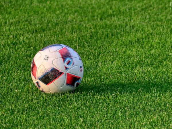 A soccer ball sitting on a soccer field.
