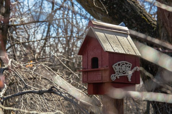 The birdhouses exhibitions are displayed for both visitors and bird feeding.