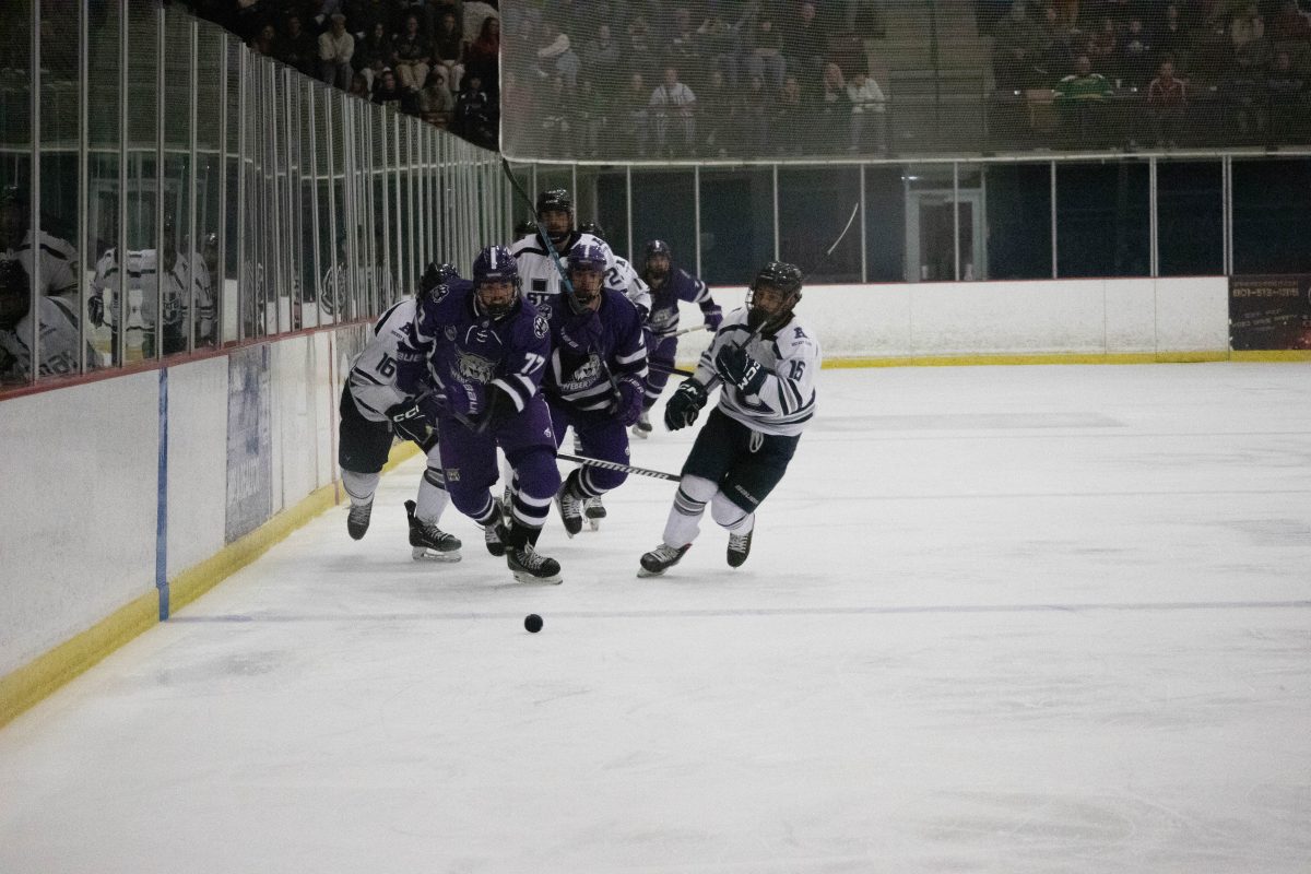 Everyone on the ice chases after the puck.