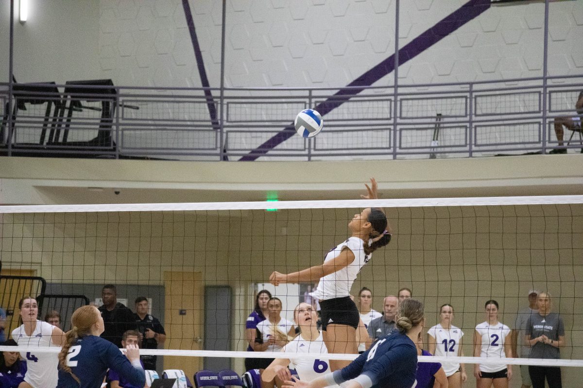 A weber State player jumps to spike the ball. (AJ Handley/The Signpost)