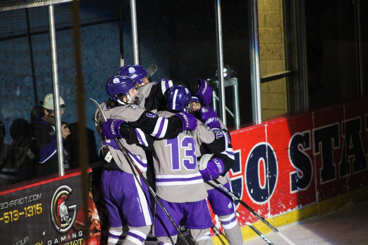 Weber State hockey players celebrating a goal made against the University of Montana.