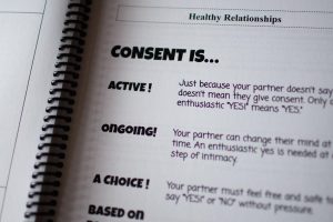 The pages of a curriculum book by Jamie Cutter’s curriculum, “Inclusive Sex Education:  A comprehensive Sexual Health Education Curriculum Guide,” addresses the subject of healthy relationships. 